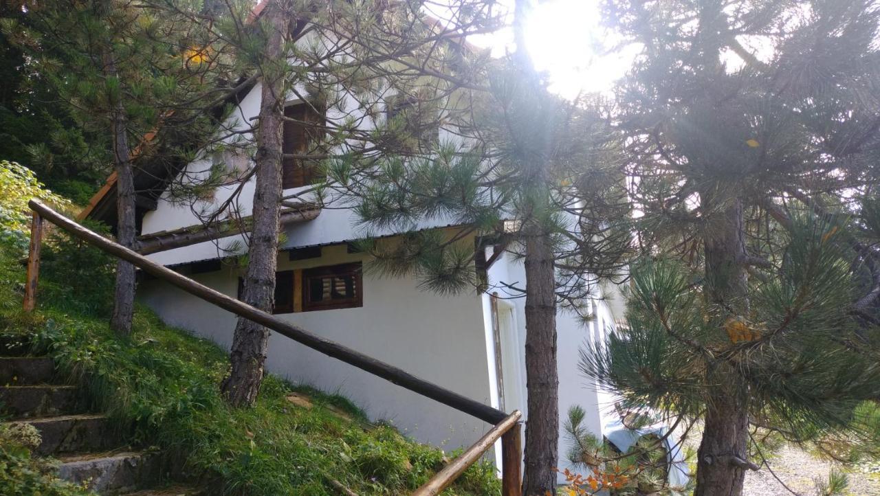 מלון קופאוניק Uki & Sofi Mountain House מראה חיצוני תמונה
