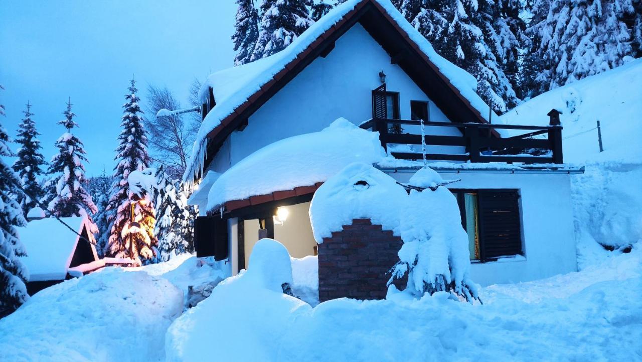 מלון קופאוניק Uki & Sofi Mountain House מראה חיצוני תמונה